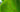 Gewebe von Pflanzen: Arten & Bildung einfach erklärt - Premium Pflanzendünger von FARBIO® (Bio & Vegan)