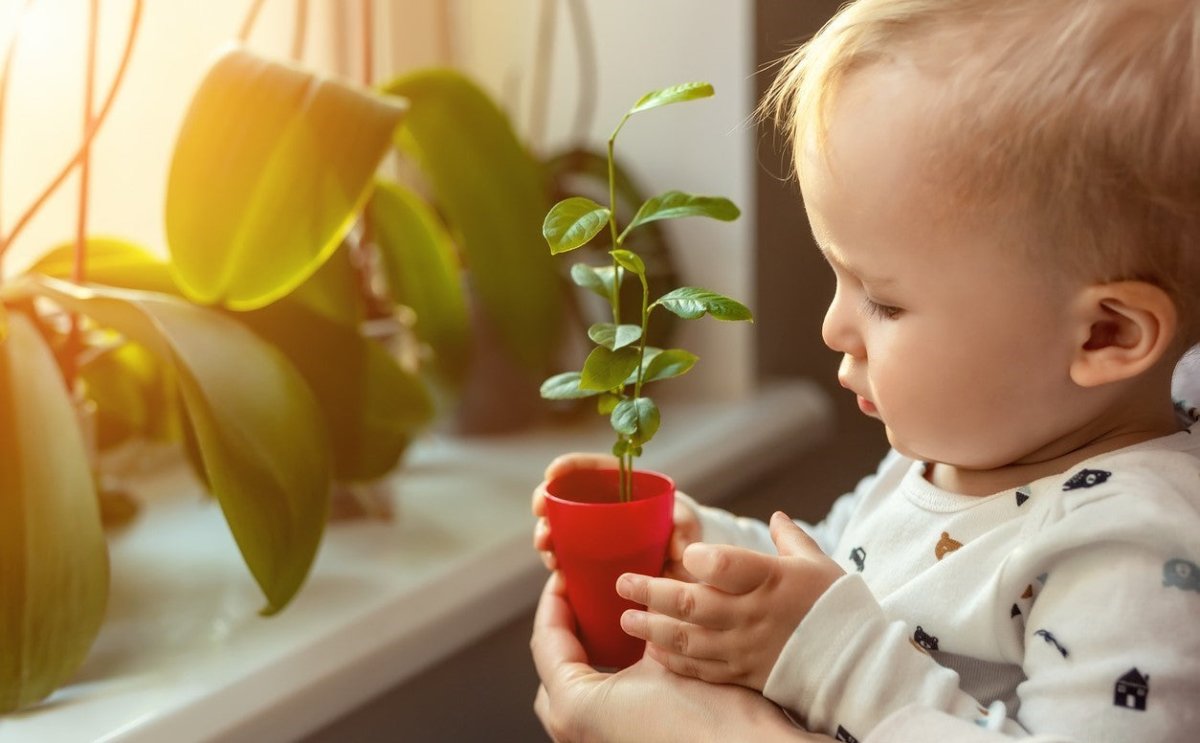 10 popular children's names with a botanical background - FARBIO® - Sustainable organic liquid fertilizers from Hamburg