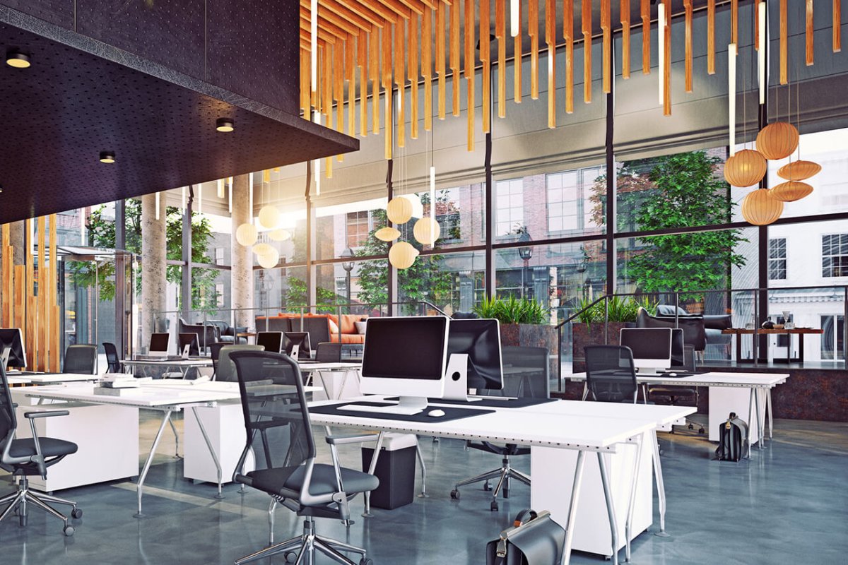8 coole Pflanzen Start-Ups und was sie machen - FARBIO® - Nachhaltige Bio-Flüssigdünger aus Hamburg