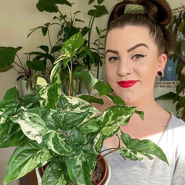 @bryony_in_plantland - FARBIO® - Nachhaltige Bio-Flüssigdünger aus Hamburg