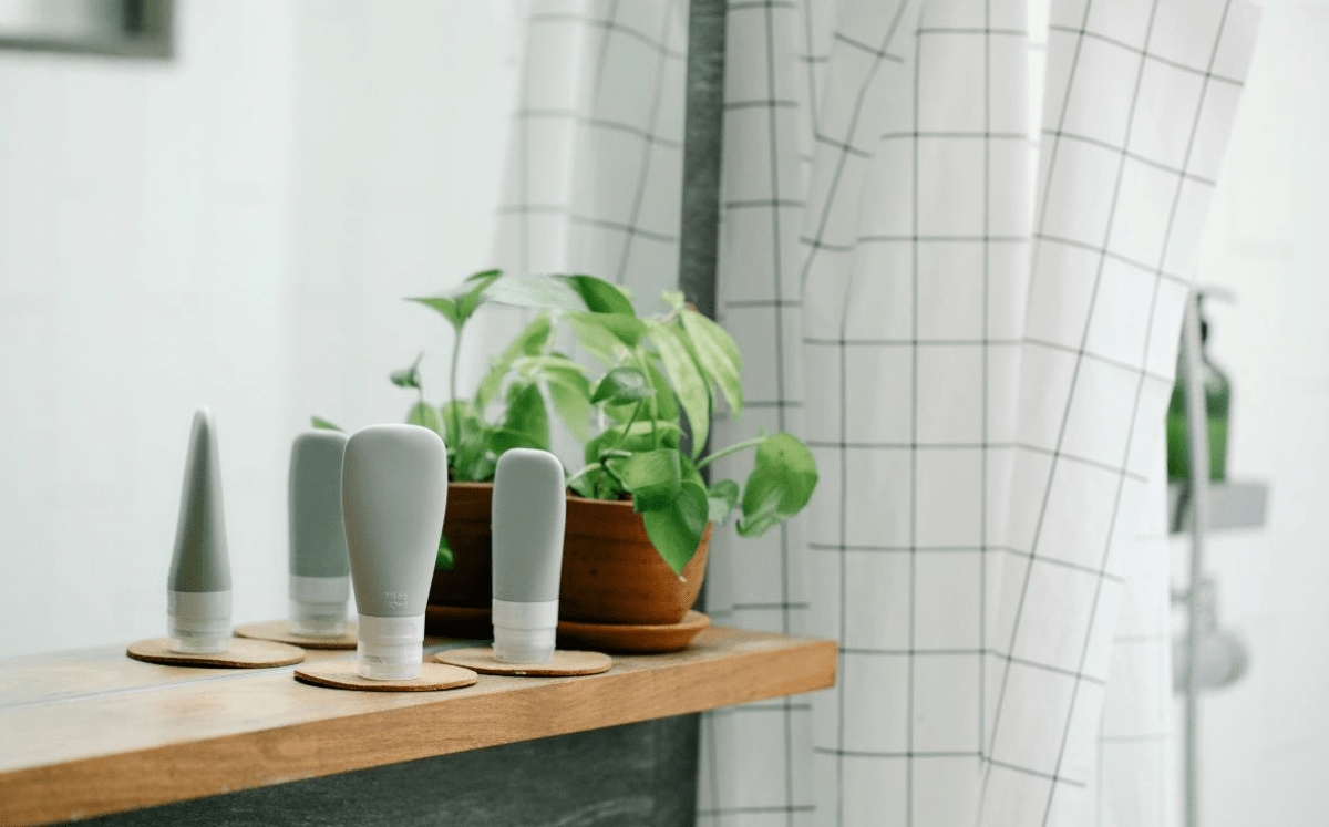 Die besten Pflanzen fürs Badezimmer - FARBIO® - Nachhaltige Bio-Flüssigdünger aus Hamburg