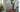 Luftwurzeln bei Monstera / Fensterblatt: Abschneiden oder Pflegen? - Premium Pflanzendünger von FARBIO® (Bio & Vegan)