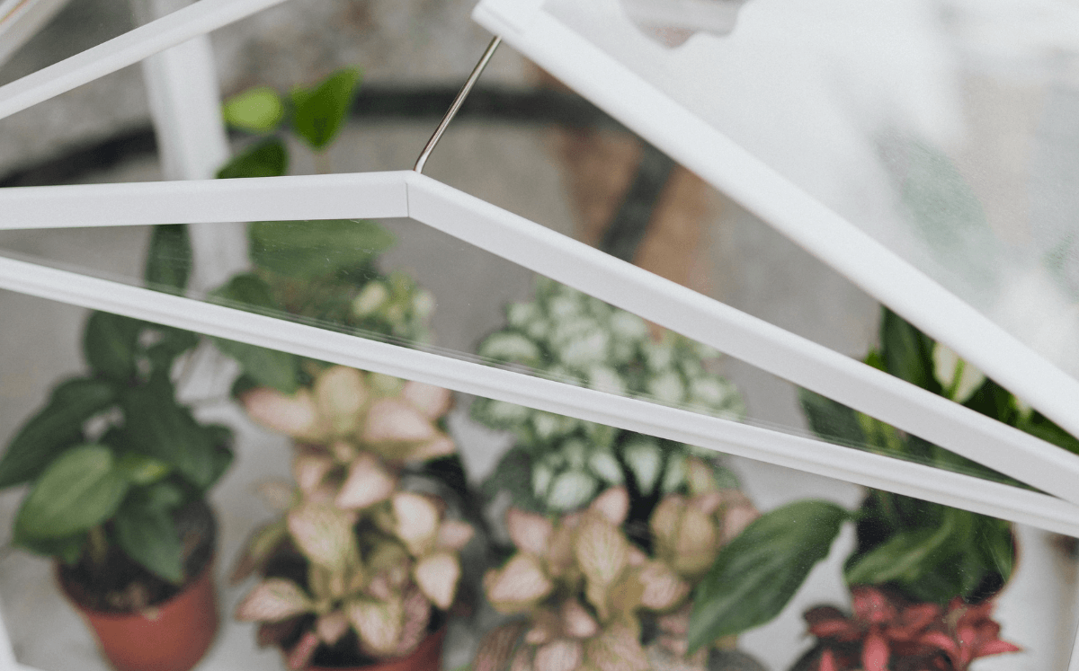 Pflanzenvitrine: Das Greenhouse für Deine Pflanzen - FARBIO® - Nachhaltige Bio-Flüssigdünger aus Hamburg
