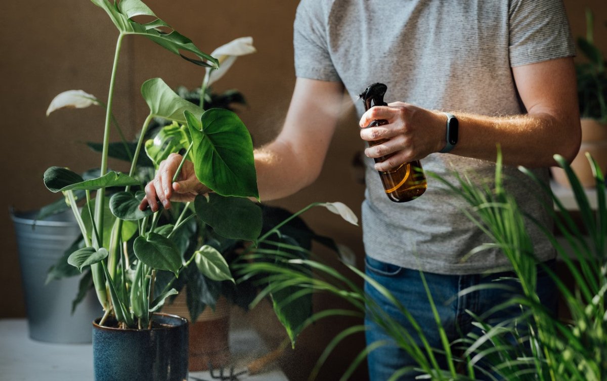 Was sind Blattdünger? Vorteile und richtige Anwendung - FARBIO® - Nachhaltige Bio-Flüssigdünger aus Hamburg