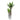 Yucca Palme - Premium Pflanzendünger von FARBIO® (Bio & Vegan)