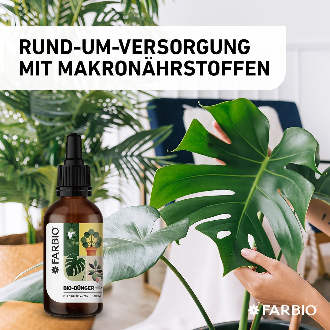 Bio-Flüssigdünger für Grünpflanzen | Wichtige Nährstoffe für Deine Pflanzen - FARBIO® - Nachhaltige Bio-Flüssigdünger aus Hamburg