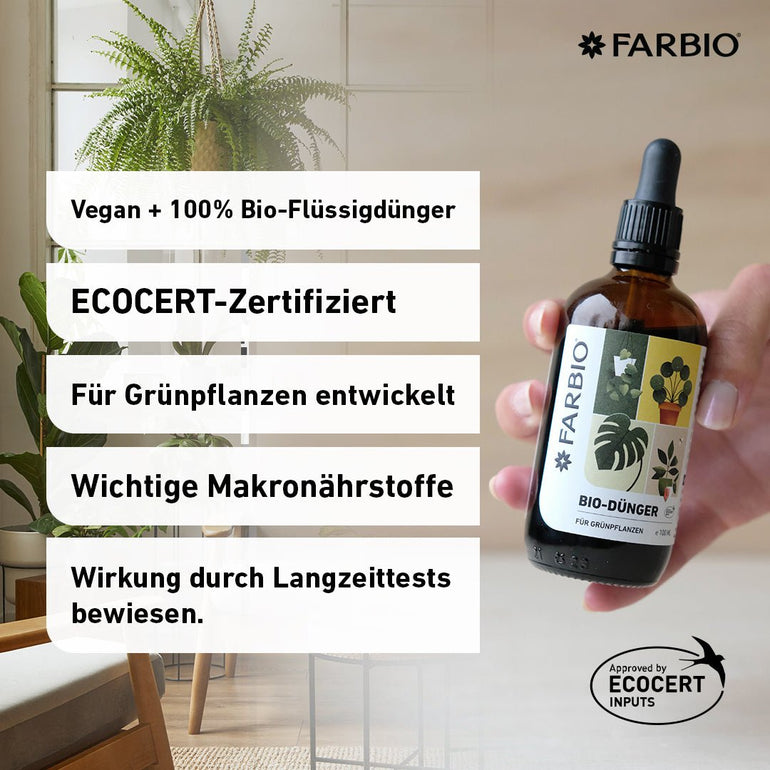 C3, C4 und CAM-Pflanzen erklärt