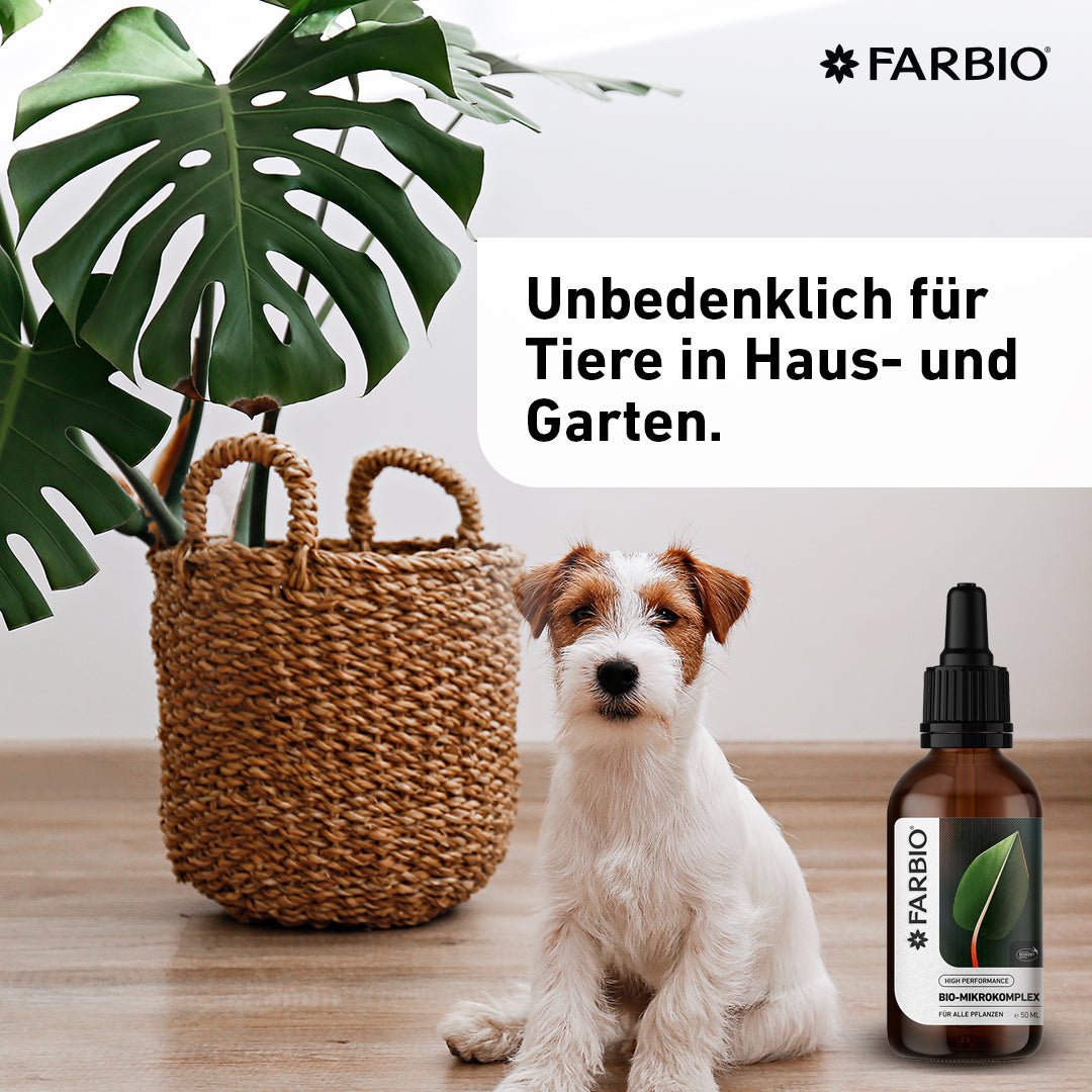 Bio-Mikrokomplex | Premium Flüssigdünger | Schutz und Heilung für Deine Pflanzen - FARBIO® - Nachhaltige Bio-Flüssigdünger aus Hamburg