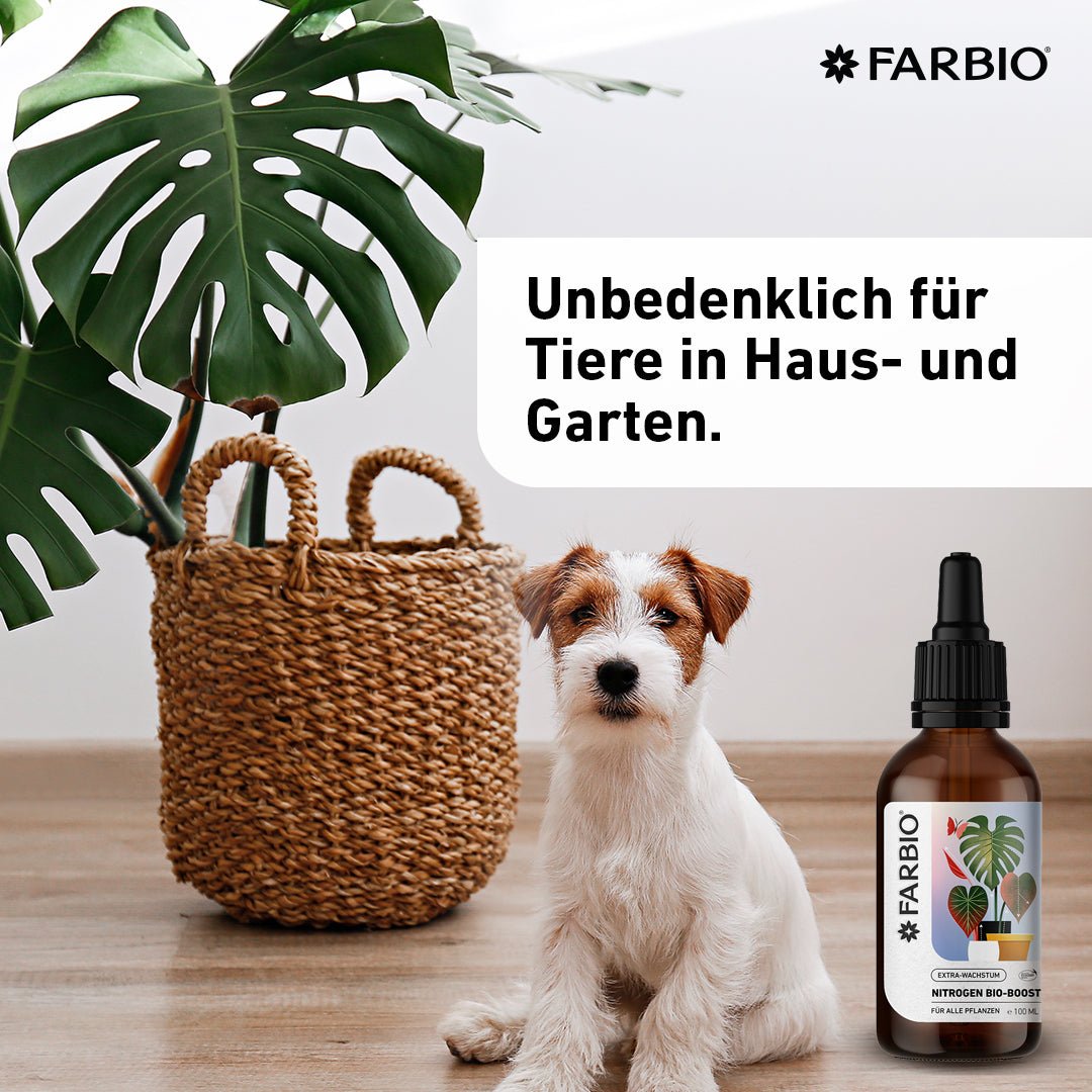 Nitrogen Bio-Boost | Premium Flüssigdünger | Extra-Wachstum für Deine Pflanzen - FARBIO® - Nachhaltige Bio-Flüssigdünger aus Hamburg